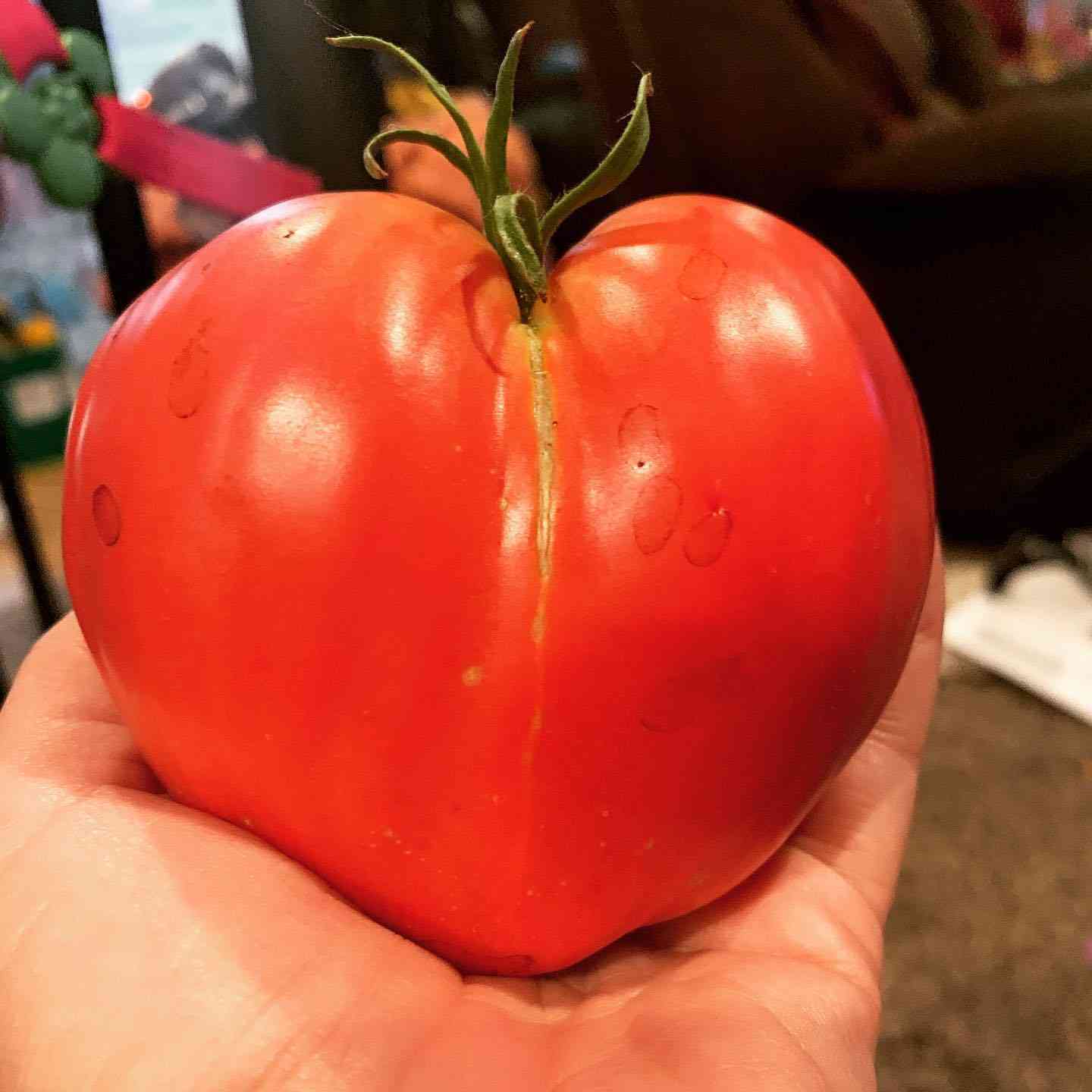 Tasty Pink Beefsteak Tomato