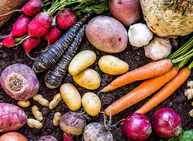 root vegetable collection