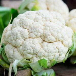 snowball cauliflower harvested