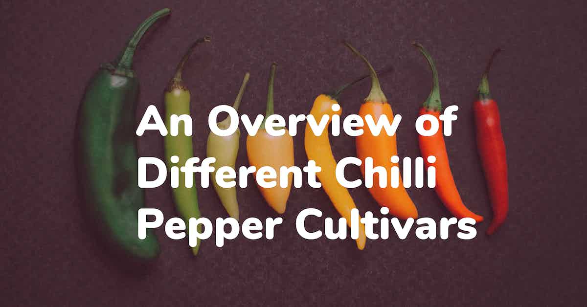 An Overview of Different Chilli Pepper Cultivars